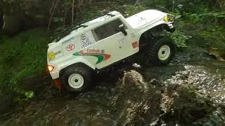 RC Exploration of the old forest