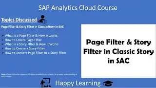 11 SAC Page Filter & Story Filter in Classic Story