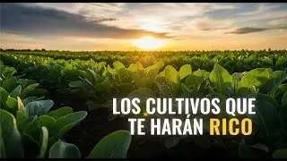 Los cultivos m&aacute;s rentables en Espa&ntilde;a 🌱💰 | Inversiones agr&iacute;colas con futuro