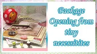 Package Opening from Tiny Necessities