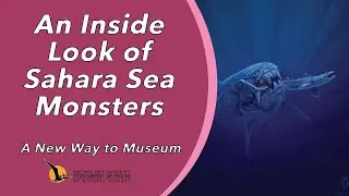 An Inside Look of Sahara Sea Monsters | A New Way to Museum