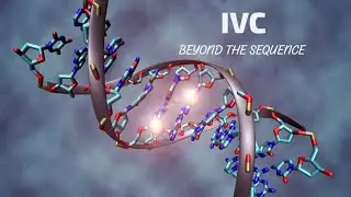 IVC &ndash; Turing's Machine 