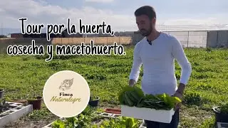 Tour por la #huerta, cosecha y #macetohuerto.