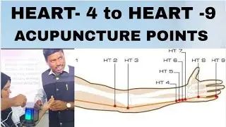 HEART- 4 to HEART- 9 ACUPUNCTURE POINTS 