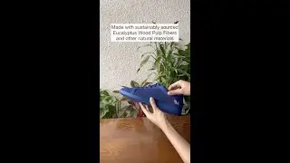 A Hug for Your Feet and The Planet | Neeman's Tree Sneakers