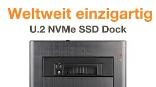 ICY DOCK flexiDOCK MB021VP-B - Tr&auml;gerloser PCIe 4.0 U.2 NVMe SSD Wechselrahmen