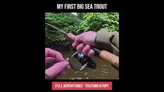 Big  Sea Trout slams Spinner🎣
