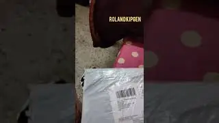 HISTORY BOOK NCERT AMAZON ORDER