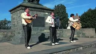Mariachi famoso cariño donde andaras 4k
