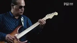 Tocando EL SONIDO DE LOS MIRLOS