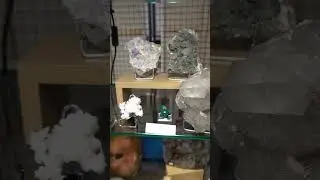 Salon des Min&eacute;raux Yozenco 2024 &agrave; Marcq-en-Baroeul