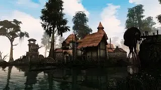 Morrowind passing the game no comments.