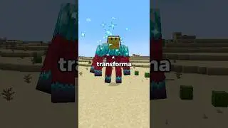 4 Curiosidades mas 1 &eacute; Verdadeira