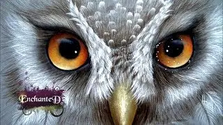 Simbolismo Del Búho ¿Qué Significa Cuando Ves Uno?  Amuleto,  Superstición, Sueños ,Tòtem y Tatuajes