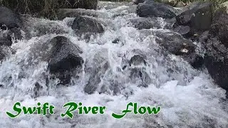 ⭕ Swift River Flow | Relaxing With Nature Sound, Meditation Sound, Water Sounds, Insomnia Sound