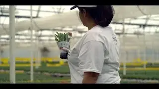 Stater Bros. Local Growers: North Shore Living Herbs :15