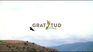GRATITUD PALLARS: compensa la teva petjada ecològica al Pallars