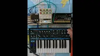 Norns Shield Fall Script, Novation BassStation 2,  Chroma Console and Volca Beats