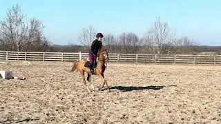 TL Tiny Dancer - Jump school @ home 