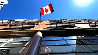 Walking West on Queen Street | Toronto Sightseeing Tour
