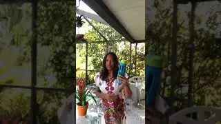 Your Daily Greens with Sabrina Protic