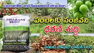 పంటలకు సంజీవని ధరణి శుద్ధి || Dharani Sudhi An Organic Soil Conditioner || Karshaka Mitra