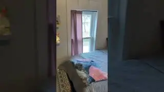 Our girls&rsquo; bedroom reveal!