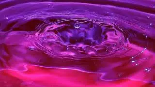k. forest- madness (slowed & reverb)