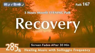 【285Hz | ゆっくり整う】🌙 Path 167 | Recovery - Tranquil Sleep Journey for Inner Balance 🌙【朝まで熟睡🌙】