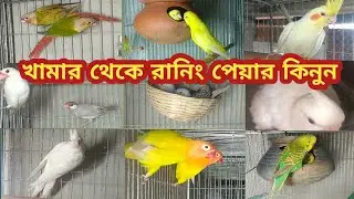 খামার থেকে রানিং পাখি কিনুন 