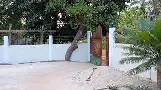HOUSE TOUR SA LABAS NG BAHAY NA MAGANDA SA HALSEY