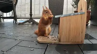 Dienstag