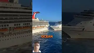 Crose in Crash #greenscreen #viralvideo #treanding #automobile #short