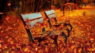 Autumn Ambience - ASMR Soundscape - Birds Singing- Peaceful Atmosphere, Relaxing Nature Sounds.