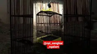 prodok oyi sangkar ngalam
