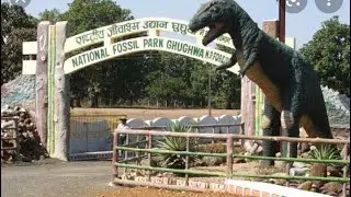 Ghughua Fossil Park #aryanraj