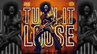 Stank - Turn It Loose (1976)