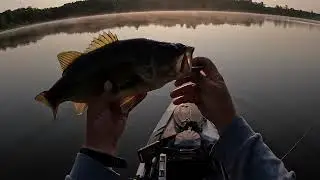 Early Morning Fishing for Bass 😉 (and Pike)