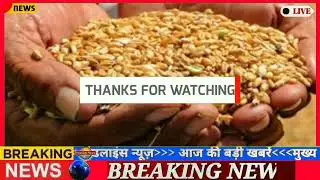 Free Ration : राशन कार्ड बड़ी सौगात 1 तारीख से गेहूं मिलना बंद ? गेहूं बाद नए लाभ देगी क्या-क्या ?