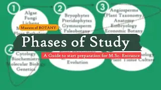 Botany Entrance Exams | Phases of Study: A Beginners Guide