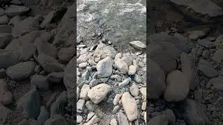 #music #coversong #himachal #nature #water #riber #peace