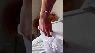 Escape Proof Snake Tubs