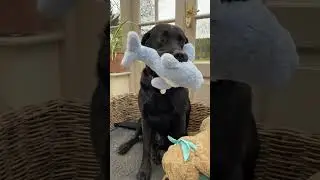 New Toy day for Denzel and the Unwrapping Station