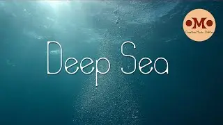 Deep Sea || Free BGM || Free videos ||  #bgm#nocopyright#royalityfree