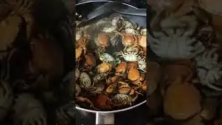 🦀Fried Talangka                    Fried Shore Crabs #cooking #talangka