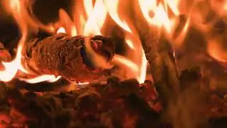 Camp Fire 10 Hours for Sleeping, Relax, Study, insomnia, Reduce Stress. #1