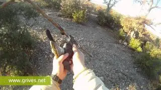 Chasse grive &agrave; la glu - Chasse grive litorne &agrave; la glu