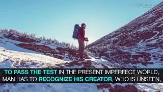 Creation Plan of God