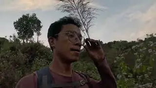 Survival in jungle bread , apple and pepsi #jungle adventure 