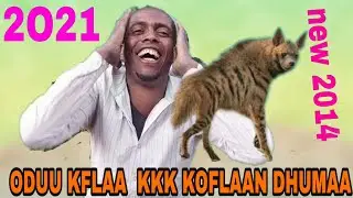 Oduu: Short Oromo Drama || Oduu Kolfaa!! | Boonsaa TV